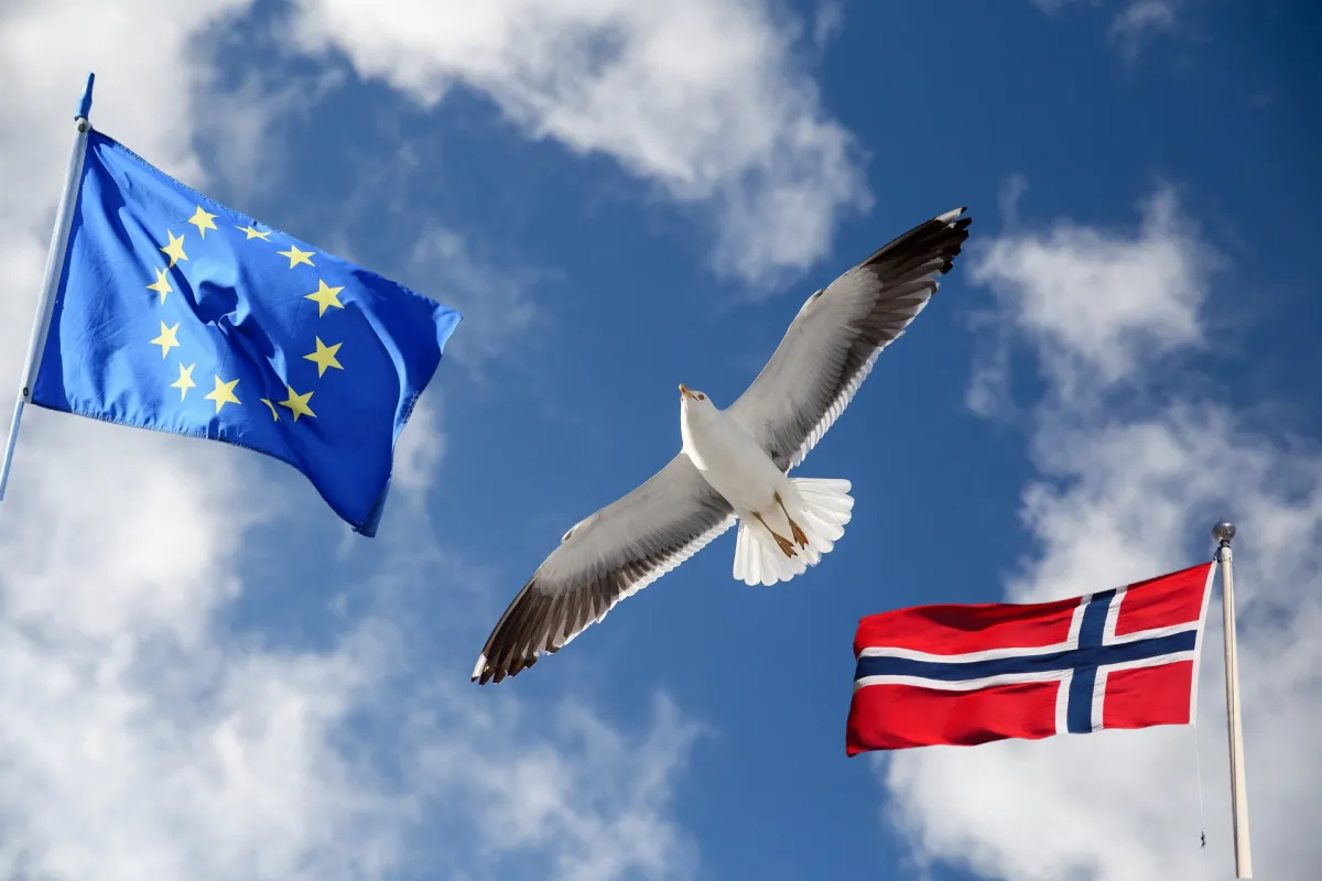 Stemmer det at Norge praktisk sett er et fullt EU medlem? Post funksjonsbilde